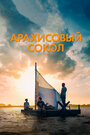 Фильм «Арахисовый сокол» смотреть онлайн фильм в хорошем качестве 720p