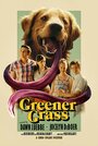 Фильм «Greener Grass» смотреть онлайн фильм в хорошем качестве 1080p