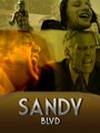 Фильм «Sandy Blvd: The Movie» скачать бесплатно в хорошем качестве без регистрации и смс 1080p