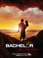 ТВ-передача «Bachelor in Paradise» скачать бесплатно в хорошем качестве без регистрации и смс 1080p