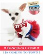 «Sancha's Cause: Is Coming to Town» кадры фильма в хорошем качестве