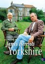 Фильм «James Herriot's Yorkshire: The Film» скачать бесплатно в хорошем качестве без регистрации и смс 1080p