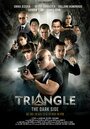 Фильм «Triangle the Dark Side» скачать бесплатно в хорошем качестве без регистрации и смс 1080p