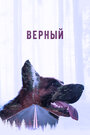 «Верный» трейлер фильма в хорошем качестве 1080p