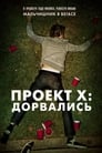 Фильм «Проект X: Дорвались» смотреть онлайн фильм в хорошем качестве 1080p